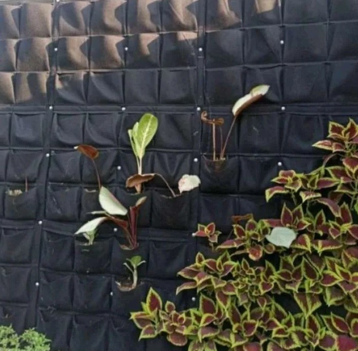 Cara Menanam Vertical Garden Pada Karpet Geotextile