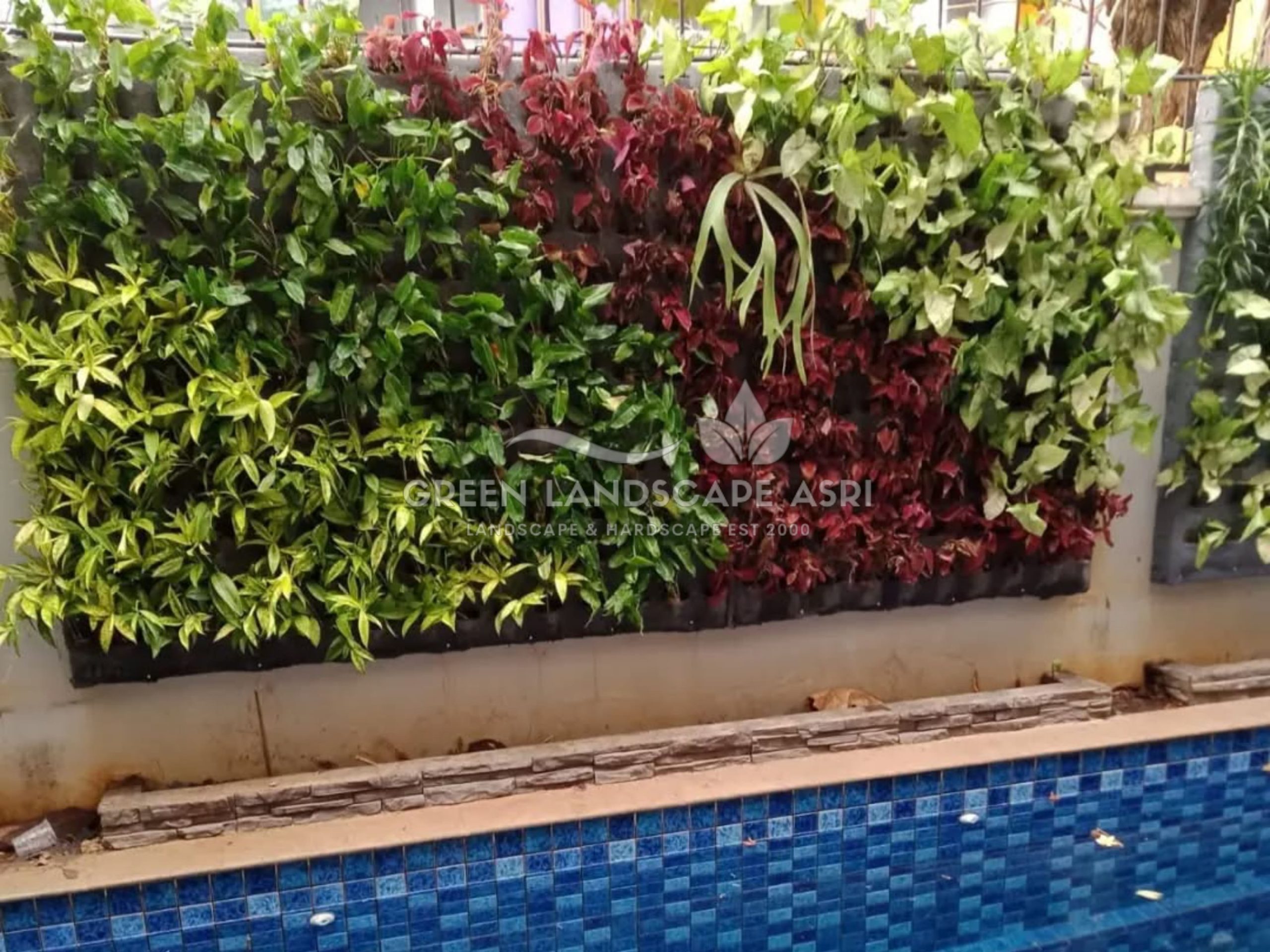 Ibu Lanny Wijaya Owner Vertical Garden