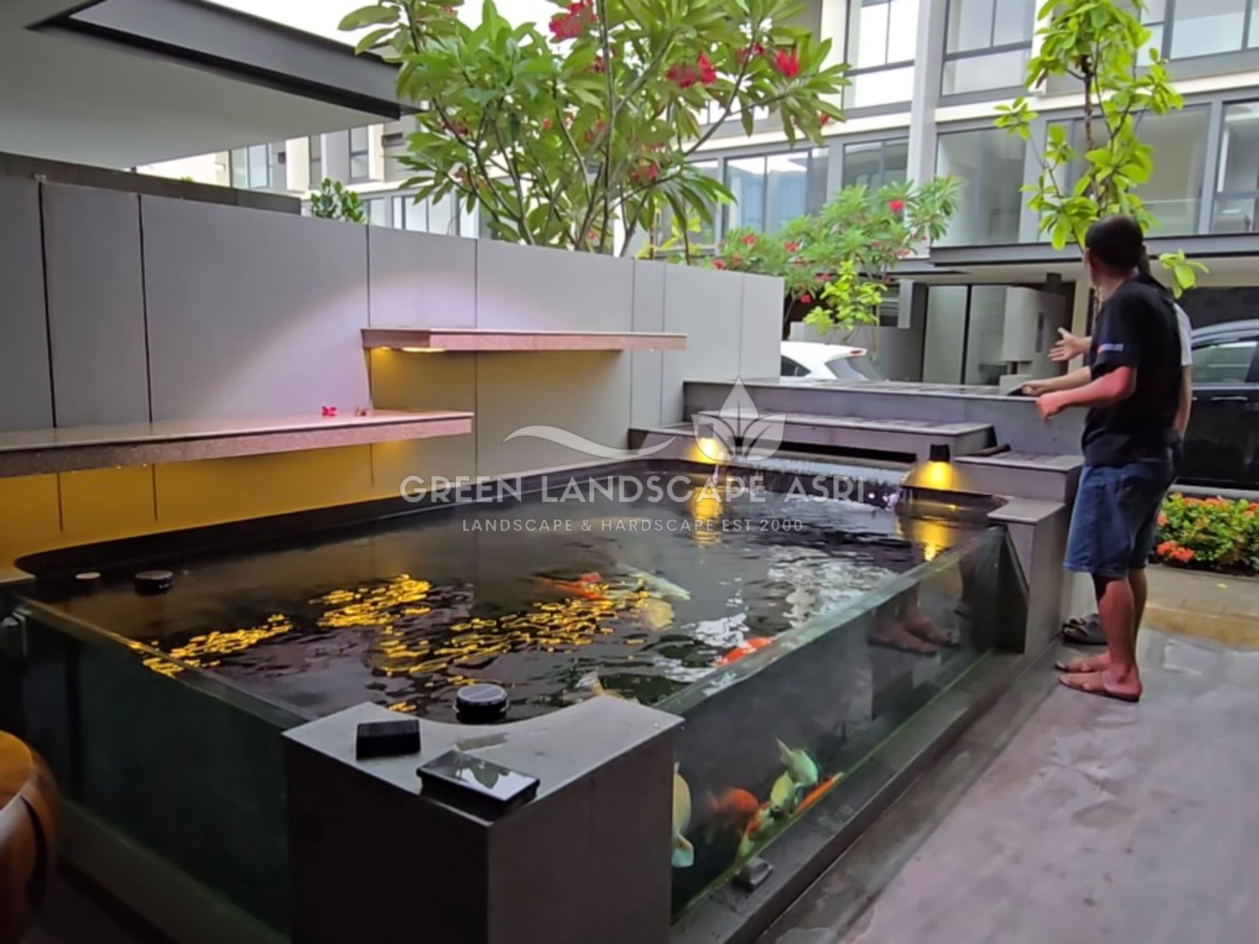 Bapak Wilson Tan Klien Kolam Koi