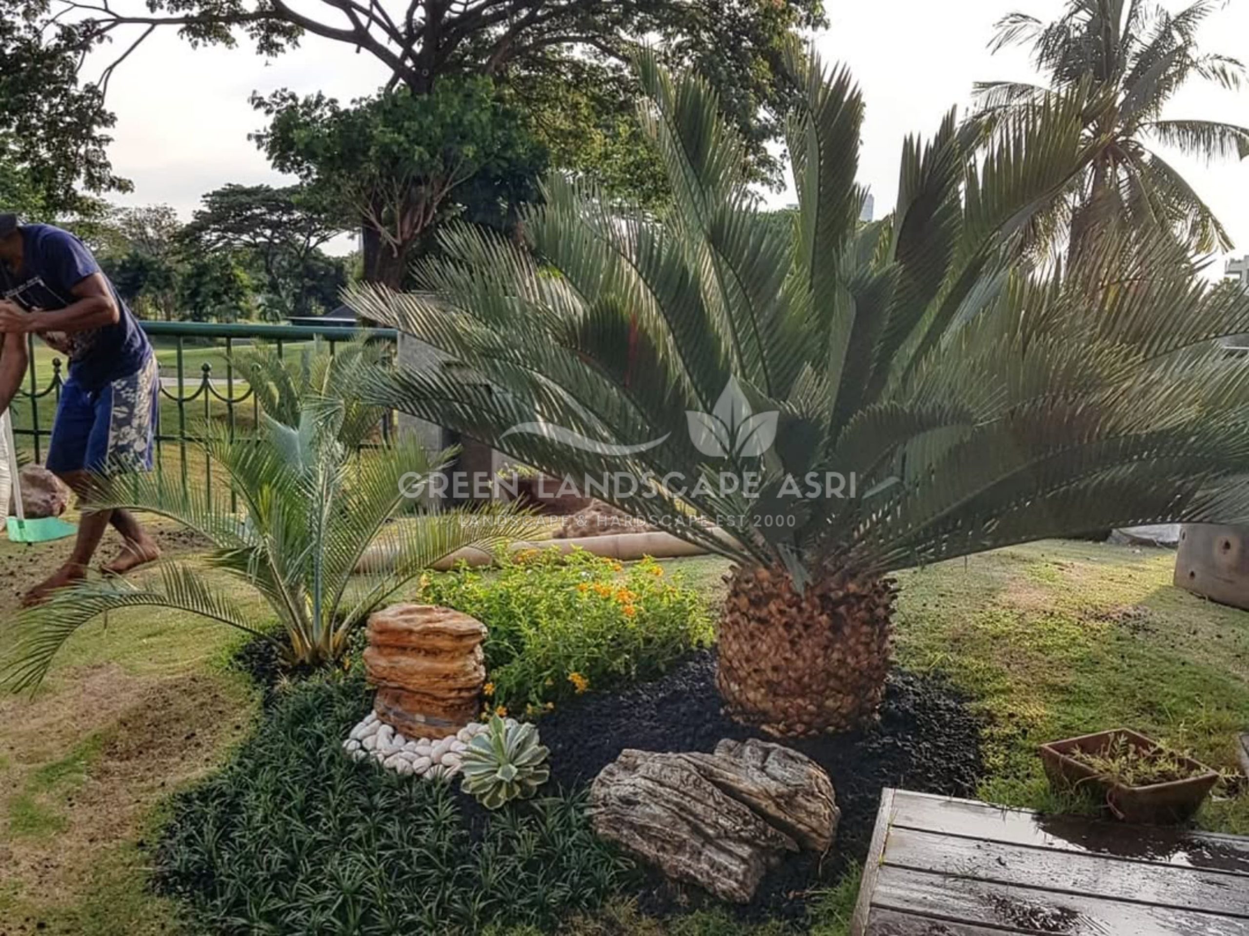jasa landscape taman