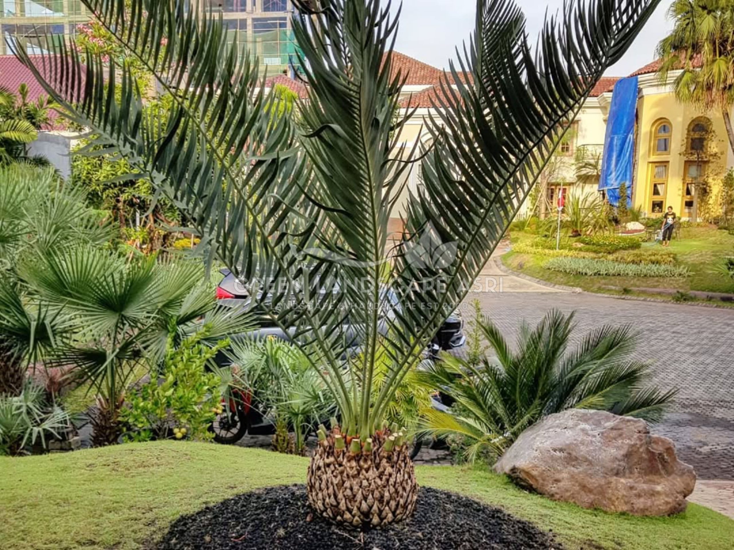 jasa landscape taman