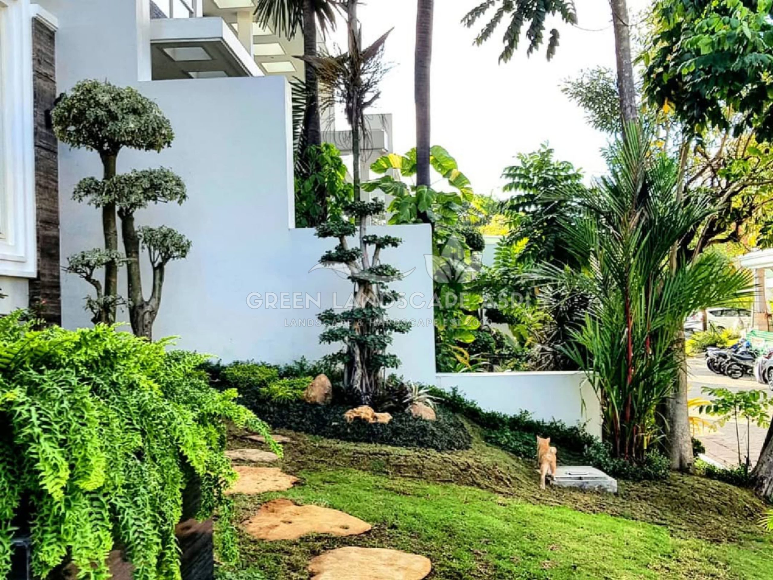 jasa penata taman