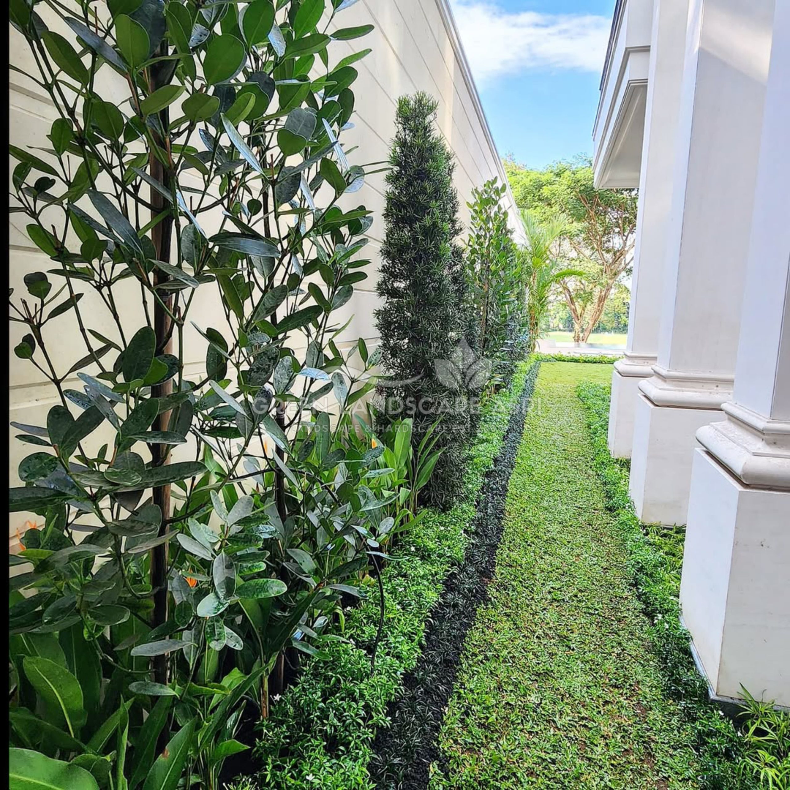 jasa tukang taman