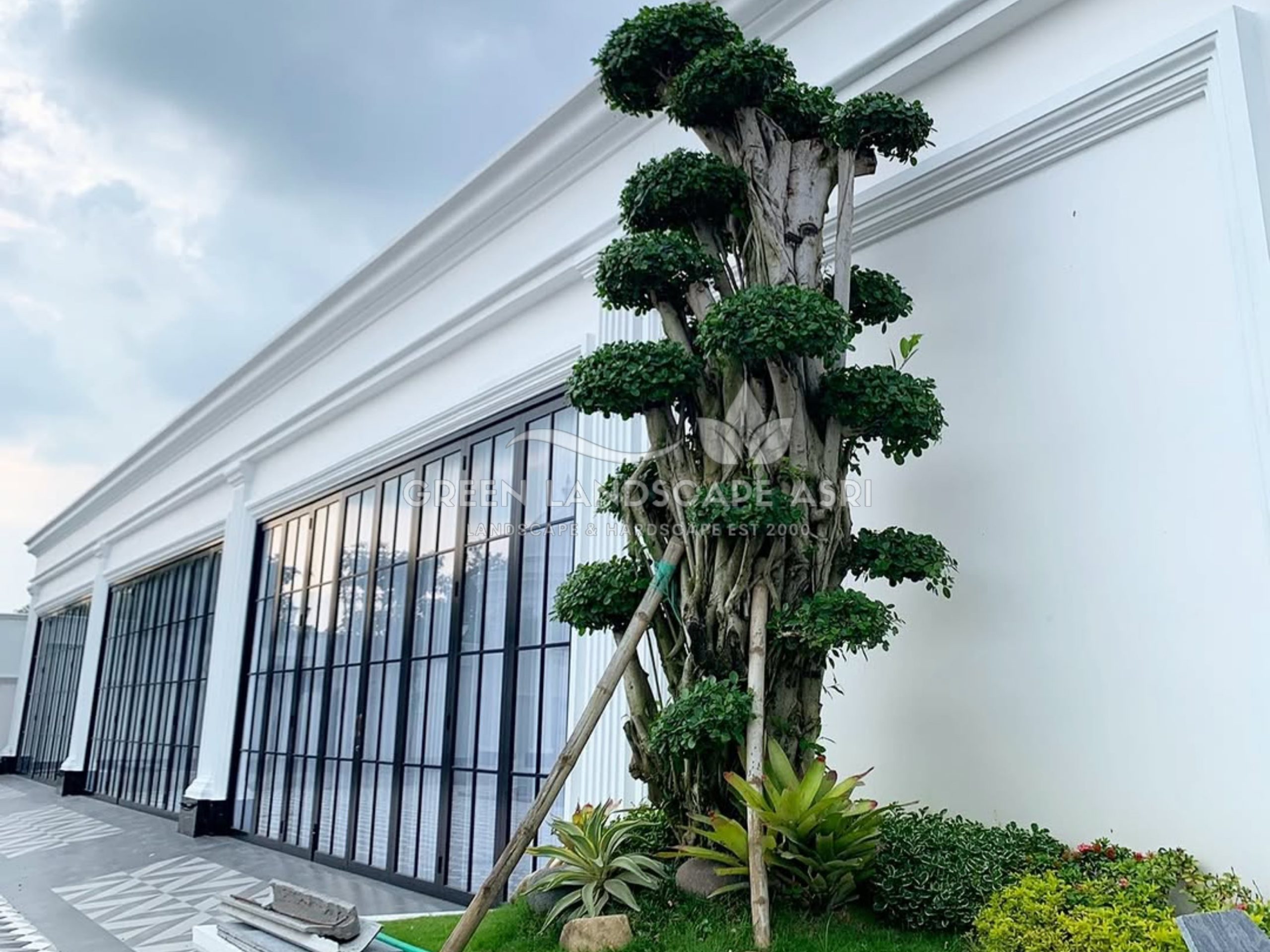 jasa tukang taman