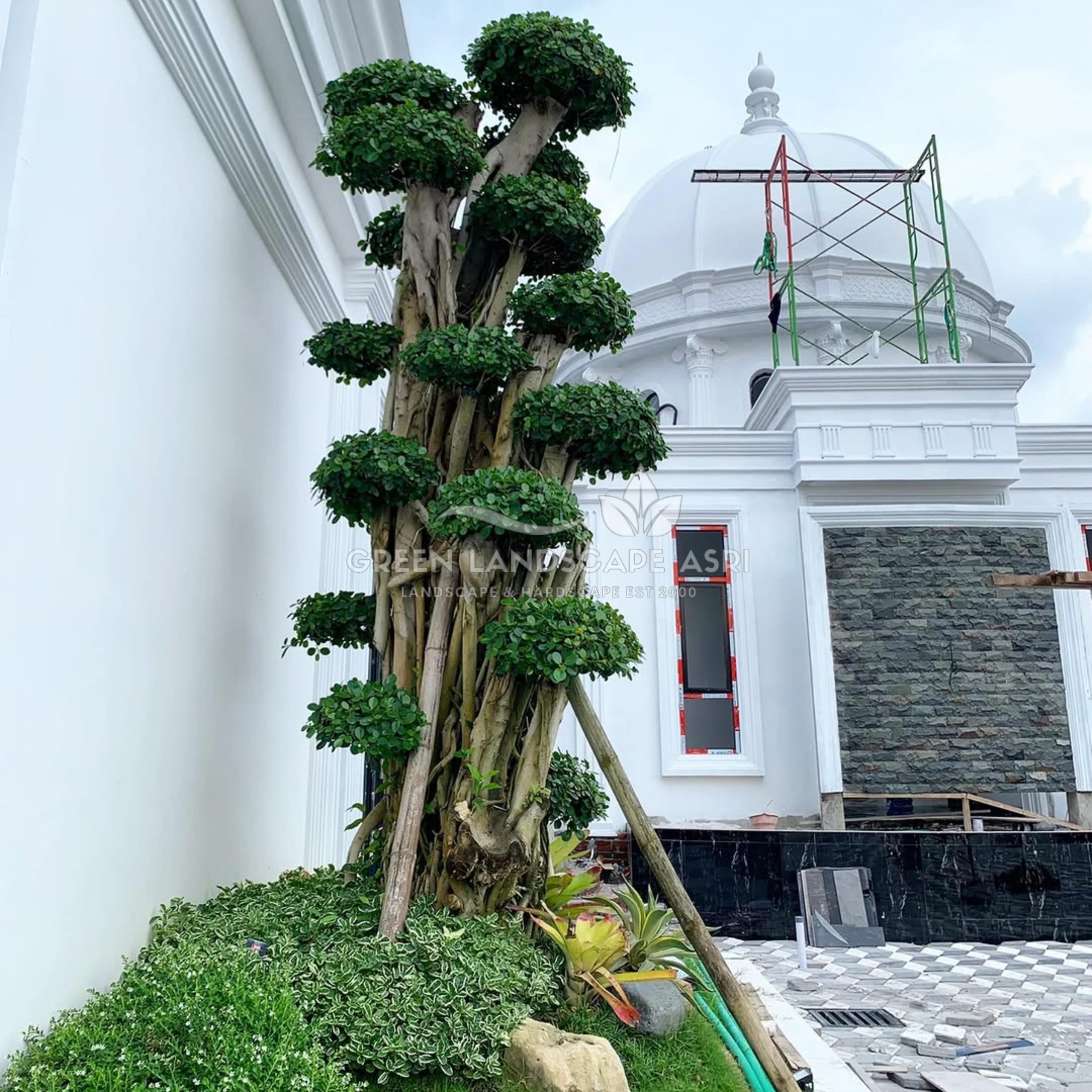 jasa tukang taman