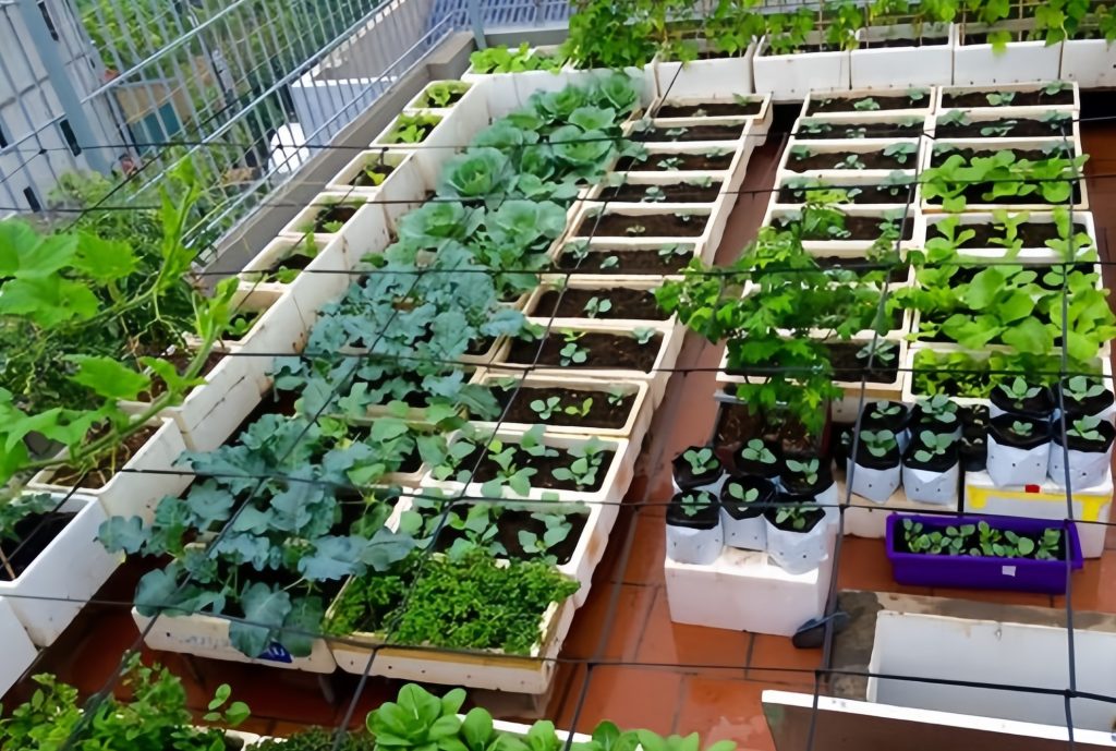 Taman dengan Konsep Urban Farming