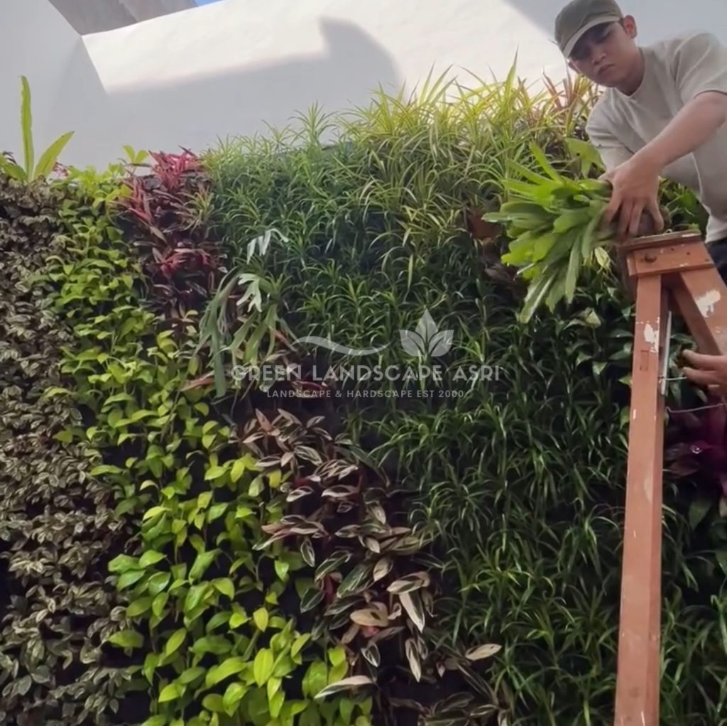 Jasa Pemasangan Vertical Garden Bergaransi