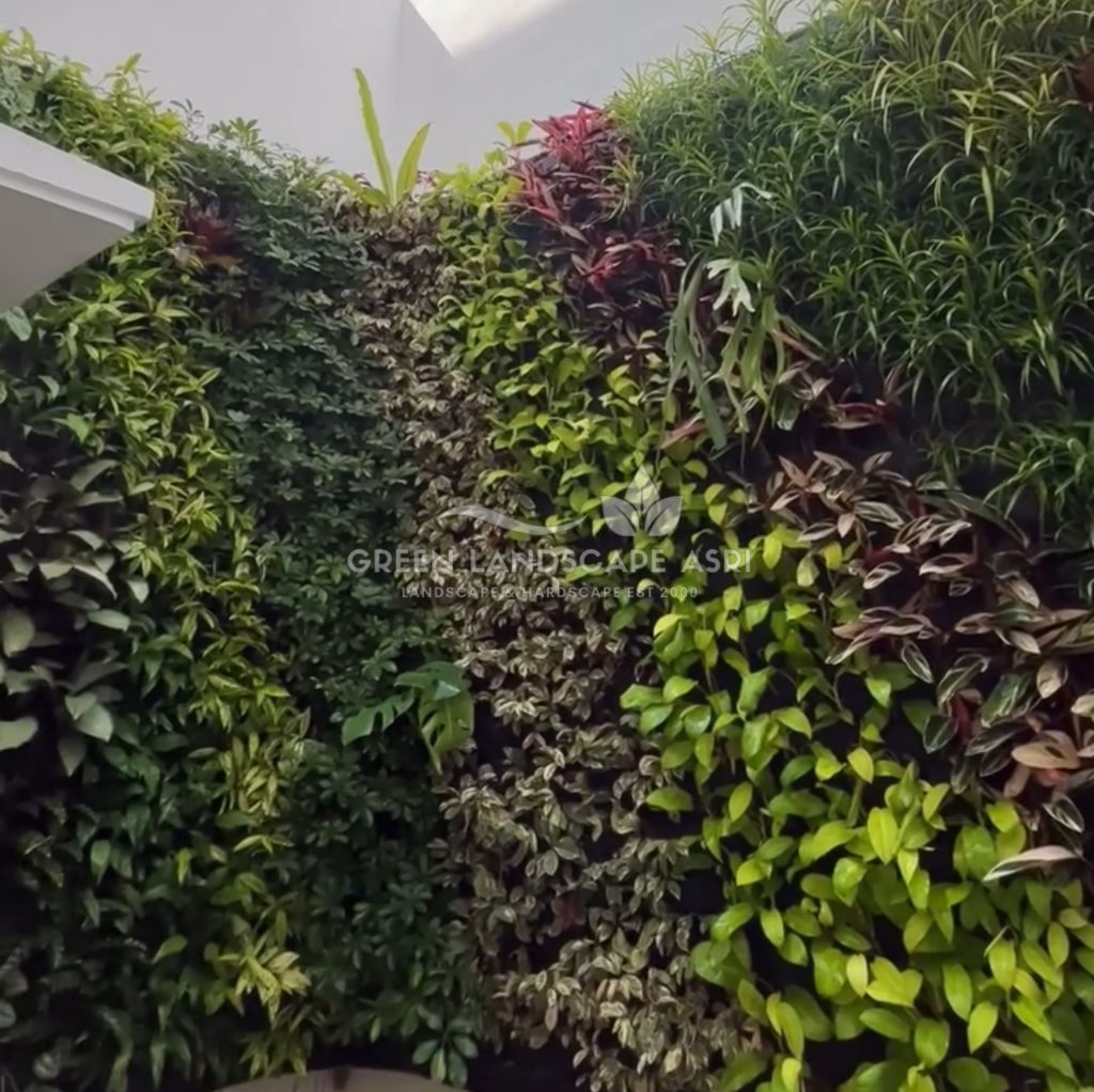 Jasa Pemasangan Vertical Garden Bergaransi