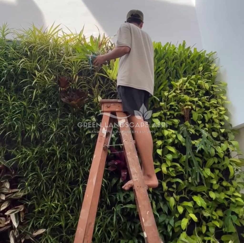 Jasa Pemasangan Vertical Garden Bergaransi