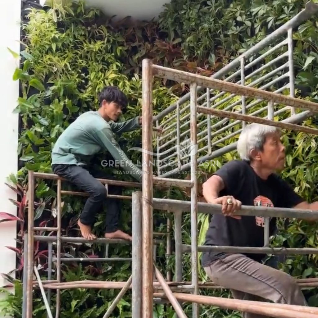 Jasa Pemasangan Vertical Garden Bergaransi