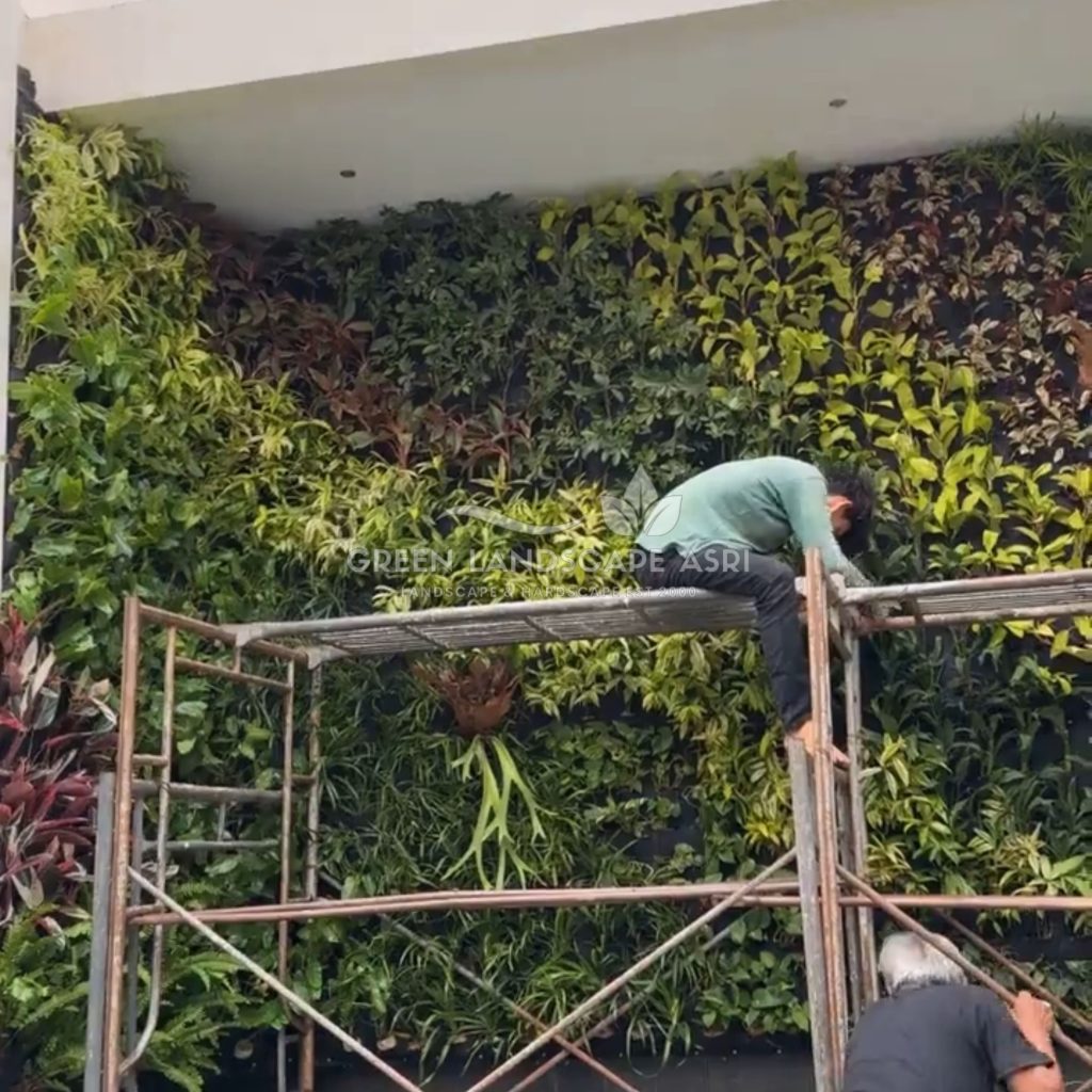 Jasa Pemasangan Vertical Garden Bergaransi