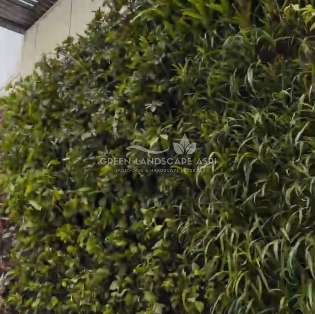 Jasa Pemasangan Vertical Garden Bergaransi