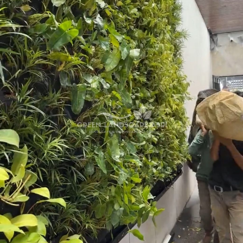 Jasa Pemasangan Vertical Garden Bergaransi