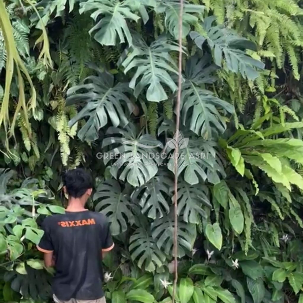 Jasa Pemasangan Vertical Garden Bergaransi