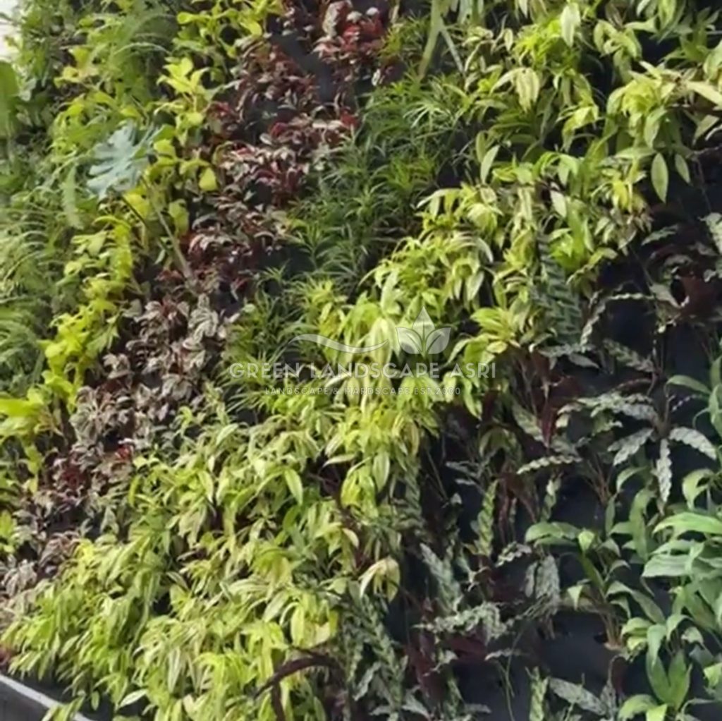 Jasa Pemasangan Vertical Garden Bergaransi