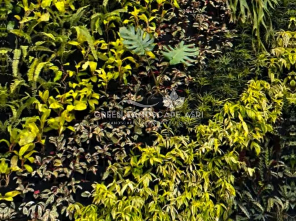 Jasa Pemasangan Vertical Garden Bergaransi