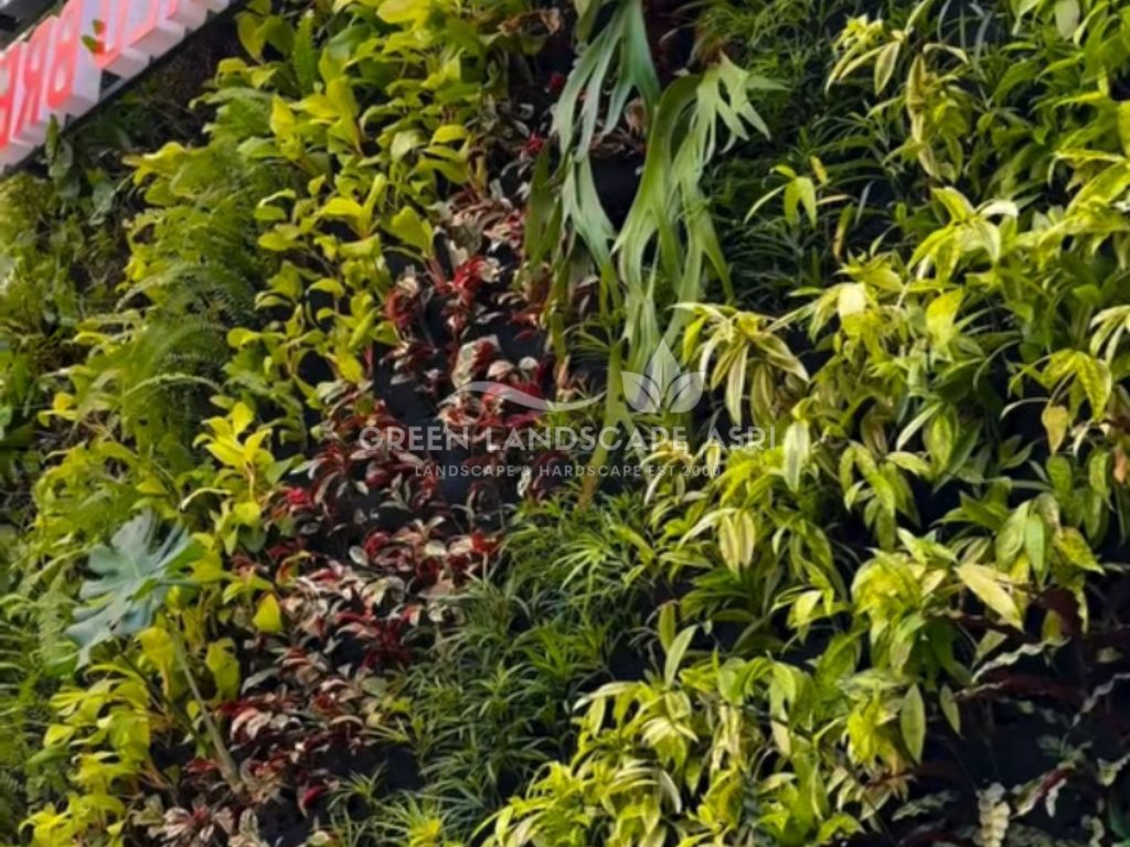 Jasa Pemasangan Vertical Garden Bergaransi