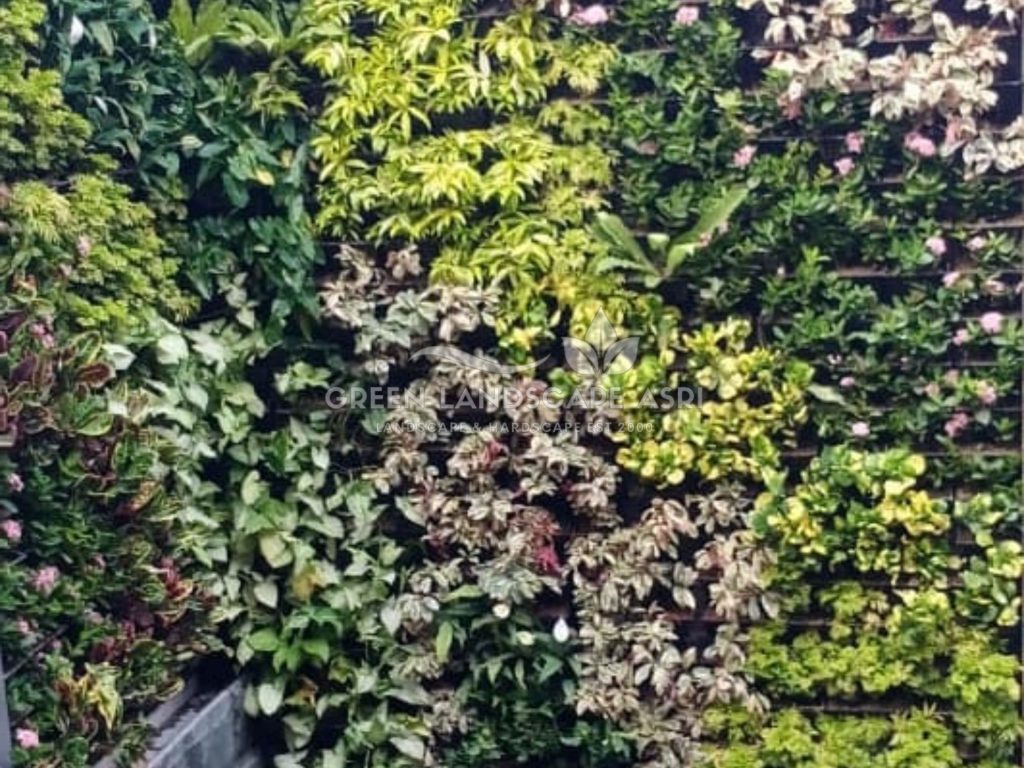Jasa Pemasangan Vertical Garden Bergaransi