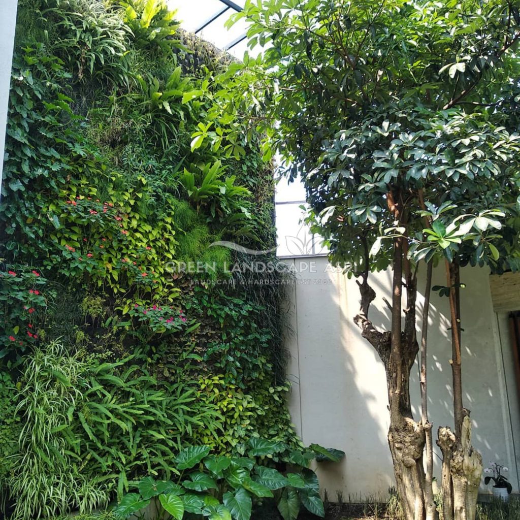 Jasa Pembuatan Vertical Garden