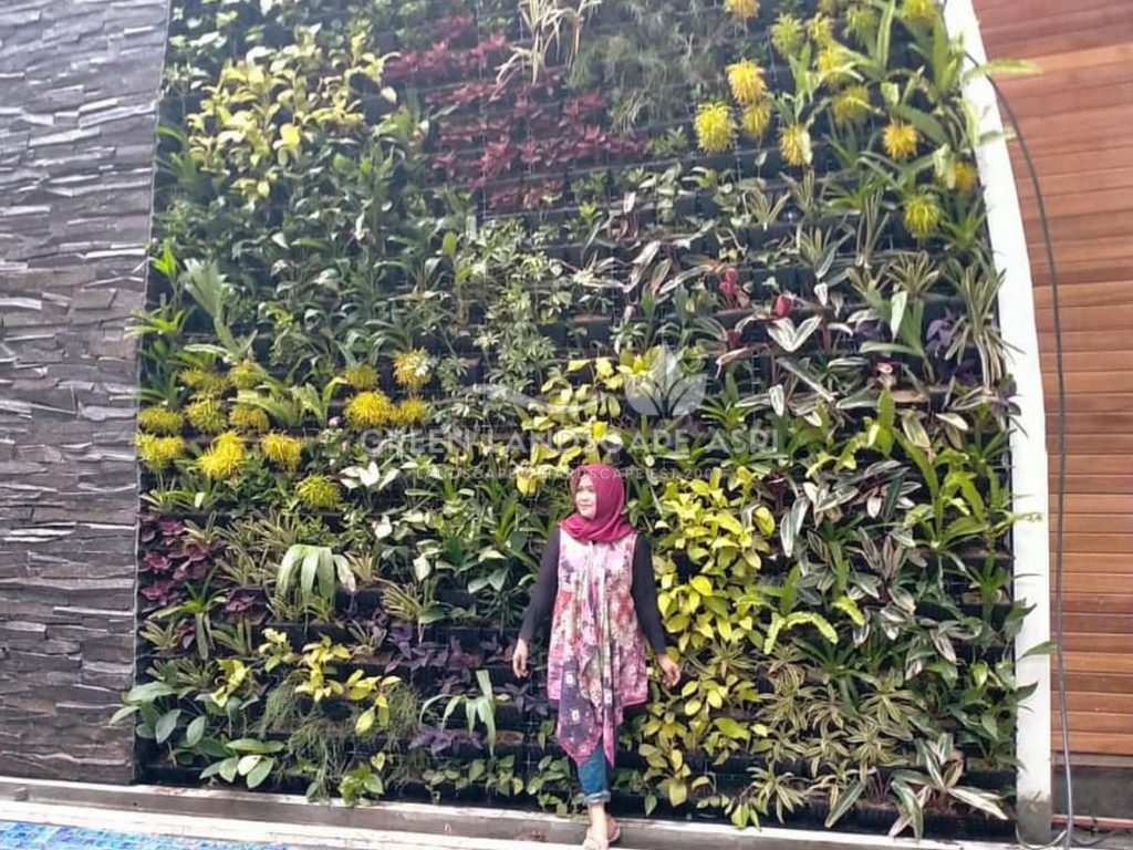 Jasa Pemasangan Vertical Garden Bergaransi