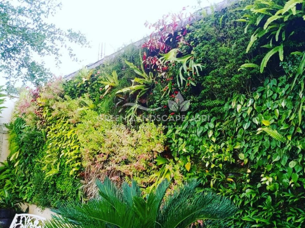 Jasa Pemasangan Vertical Garden Bergaransi