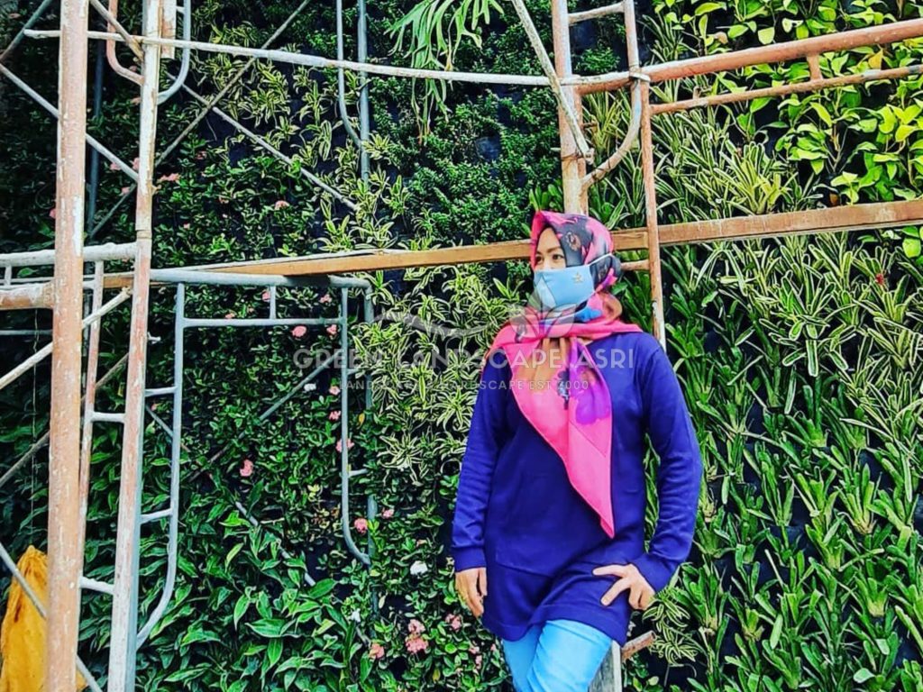 Jasa Pemasangan Vertical Garden Bergaransi