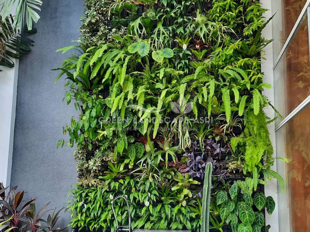 Jasa Pemasangan Vertical Garden Bergaransi