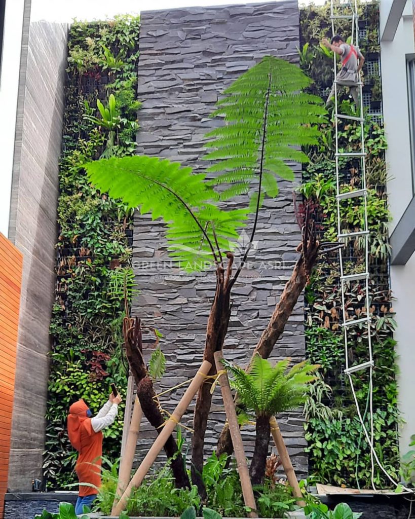 Jasa Pemasangan Vertical Garden Bergaransi