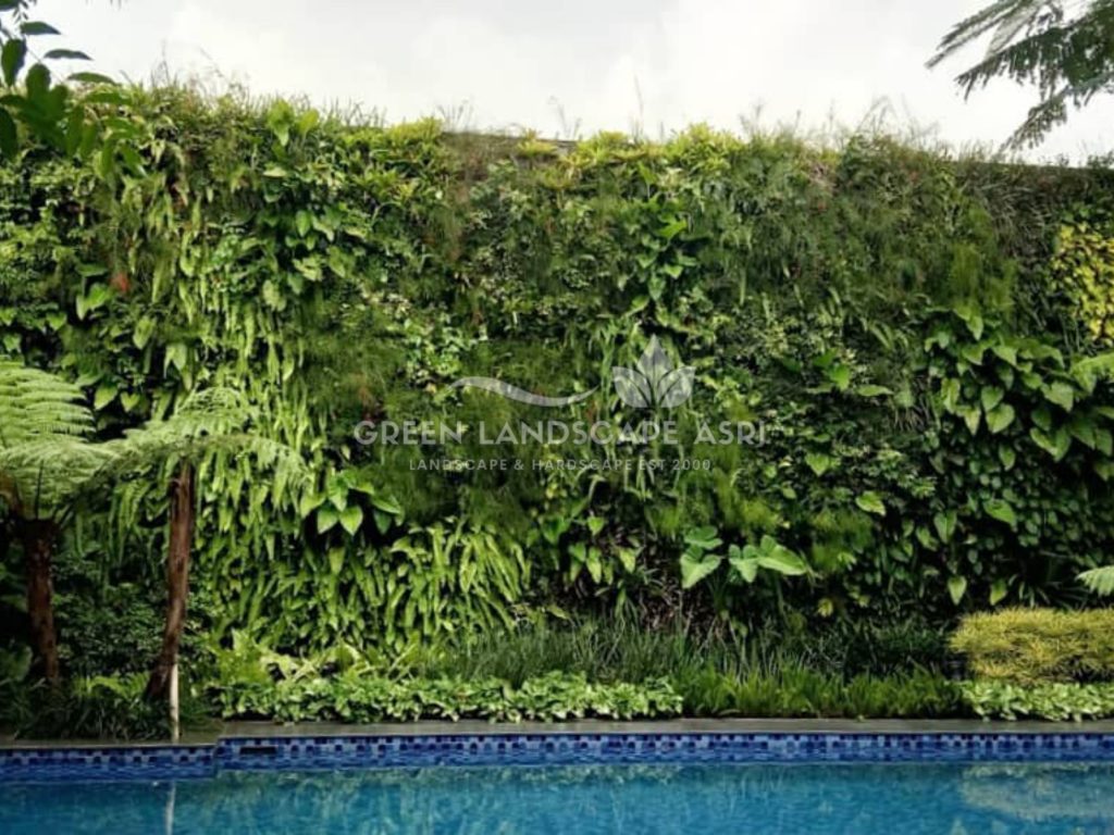 Jasa Pembuatan Vertical Garden