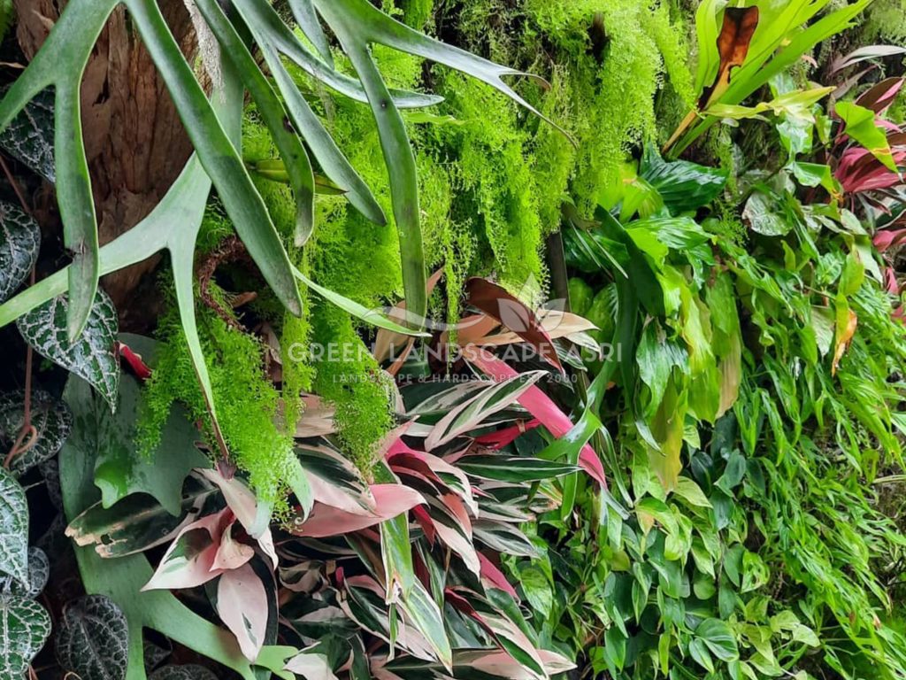 Jasa Pemasangan Vertical Garden Bergaransi