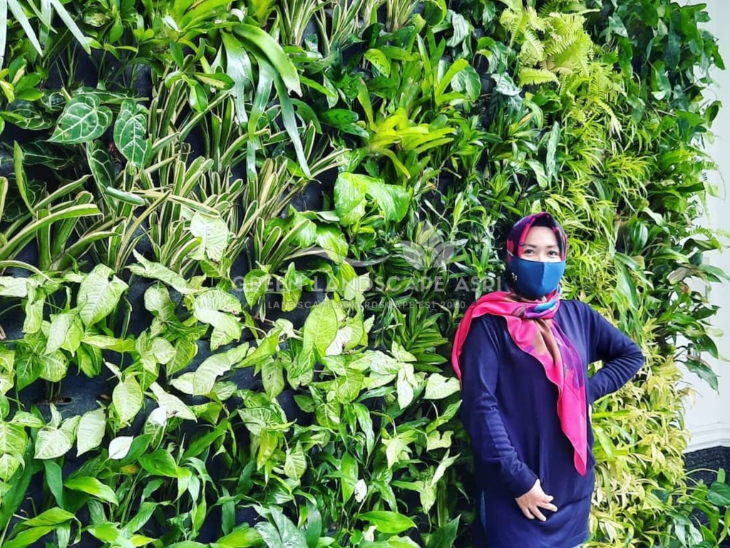 Jasa Pemasangan Vertical Garden Bergaransi