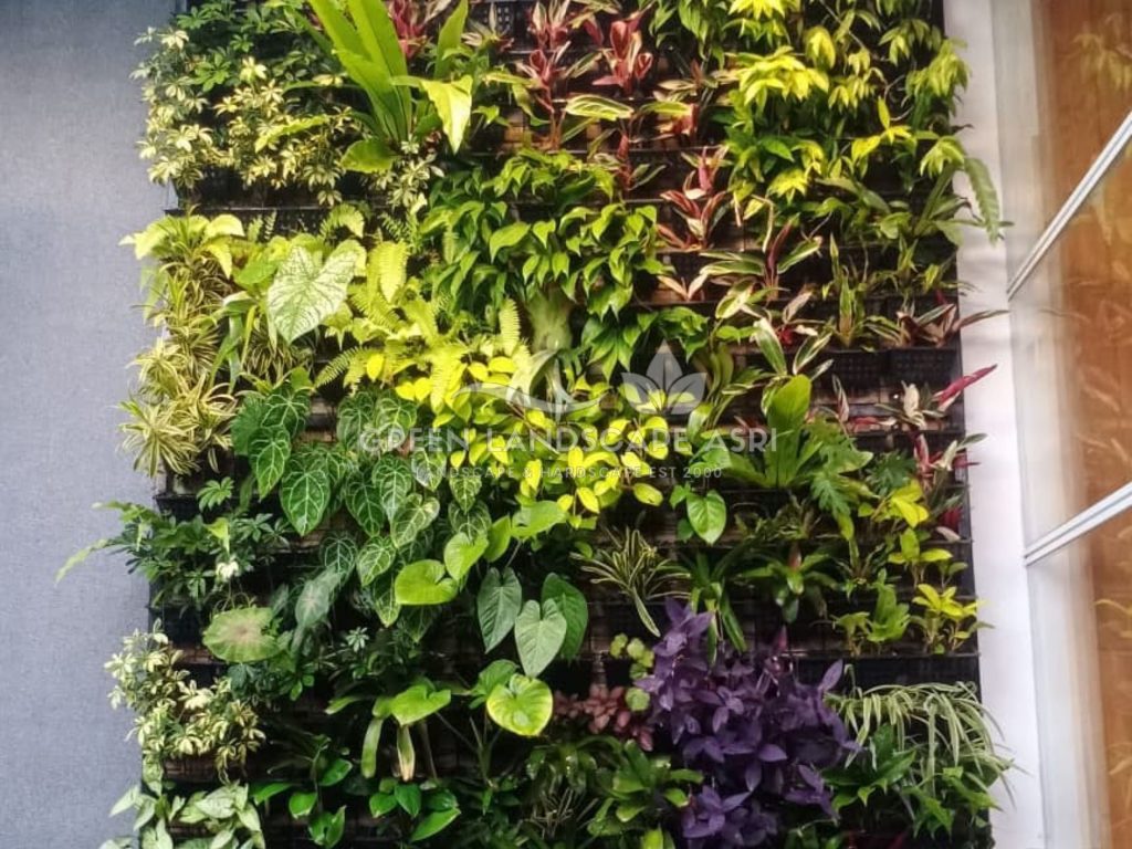 Jasa Pemasangan Vertical Garden Bergaransi