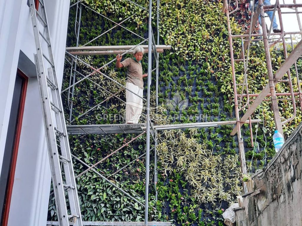 Jasa Pemasangan Vertical Garden Bergaransi