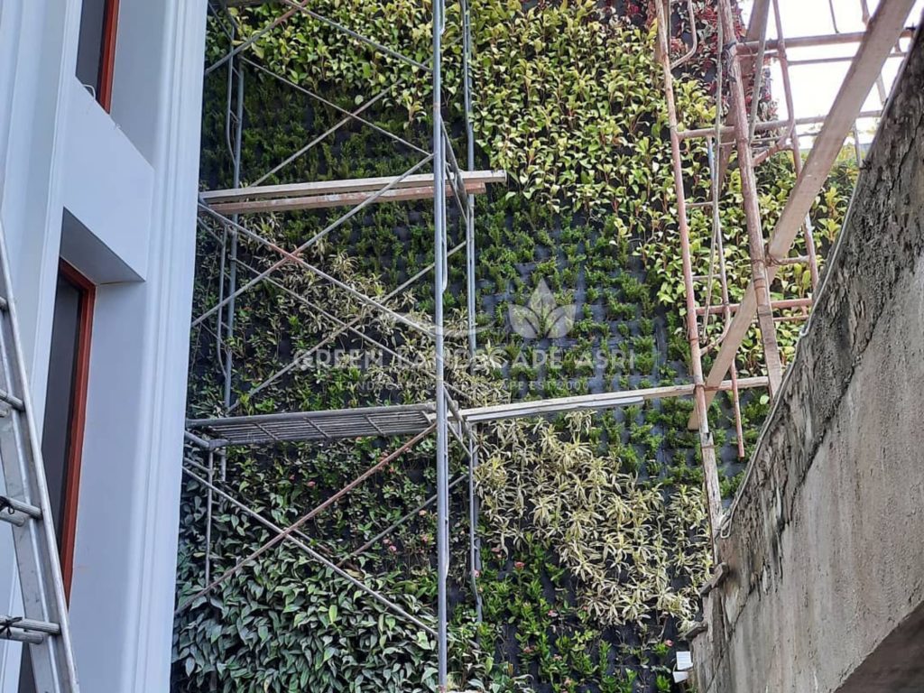 Jasa Pemasangan Vertical Garden Bergaransi