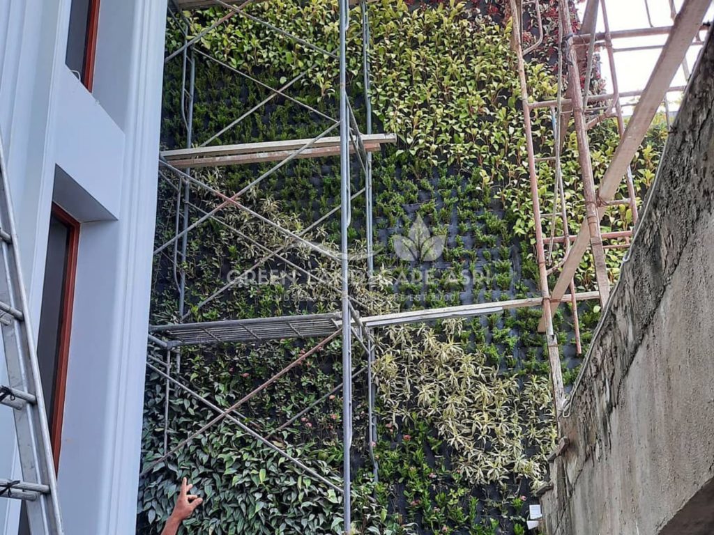 Jasa Pemasangan Vertical Garden Bergaransi