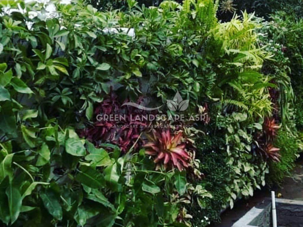 Jasa Pemasangan Vertical Garden Bergaransi
