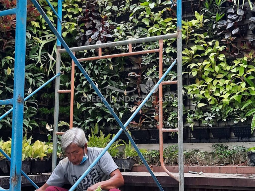 Jasa Pemasangan Vertical Garden Bergaransi
