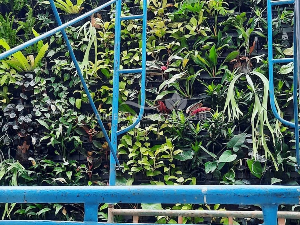 Jasa Pemasangan Vertical Garden Bergaransi