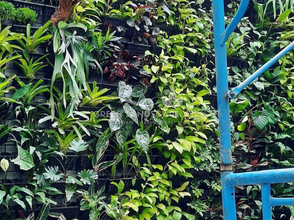 Jasa Pemasangan Vertical Garden Bergaransi