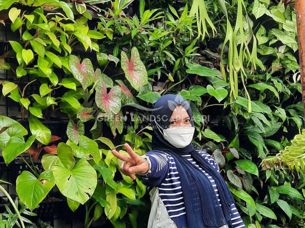 Jasa Vertical Garden Tanaman Asli