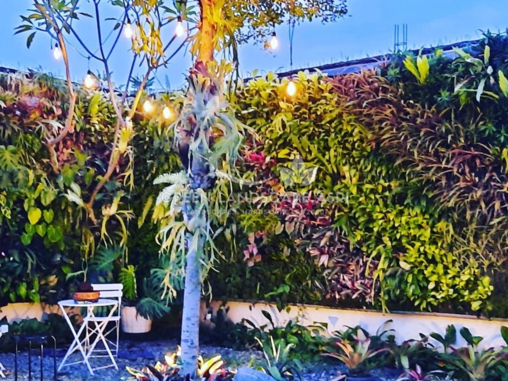 Jasa Vertical Garden Tanaman Asli