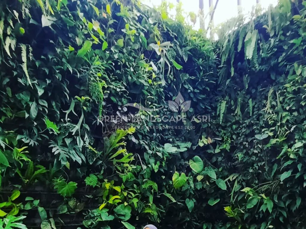 Jasa Vertical Garden Tanaman Asli