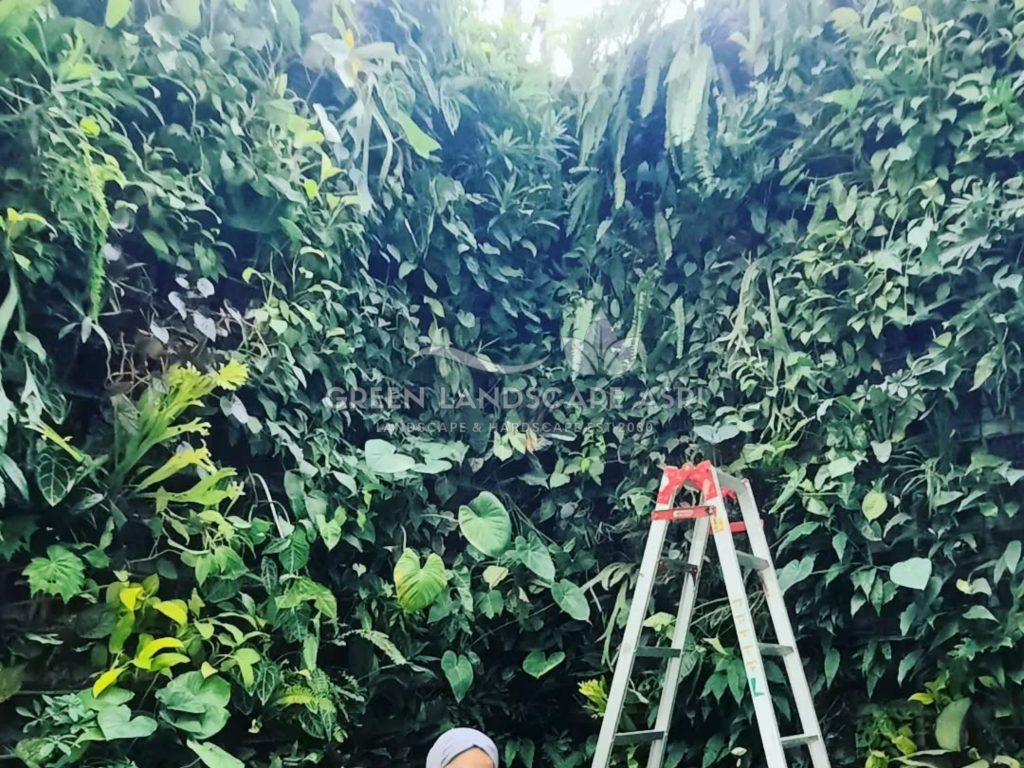 Jasa Vertical Garden Tanaman Asli