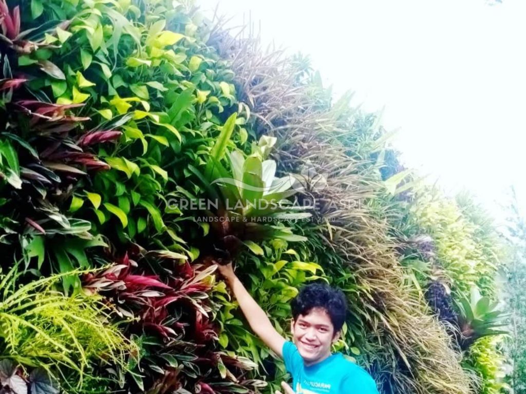 Jasa Vertical Garden Tanaman Asli