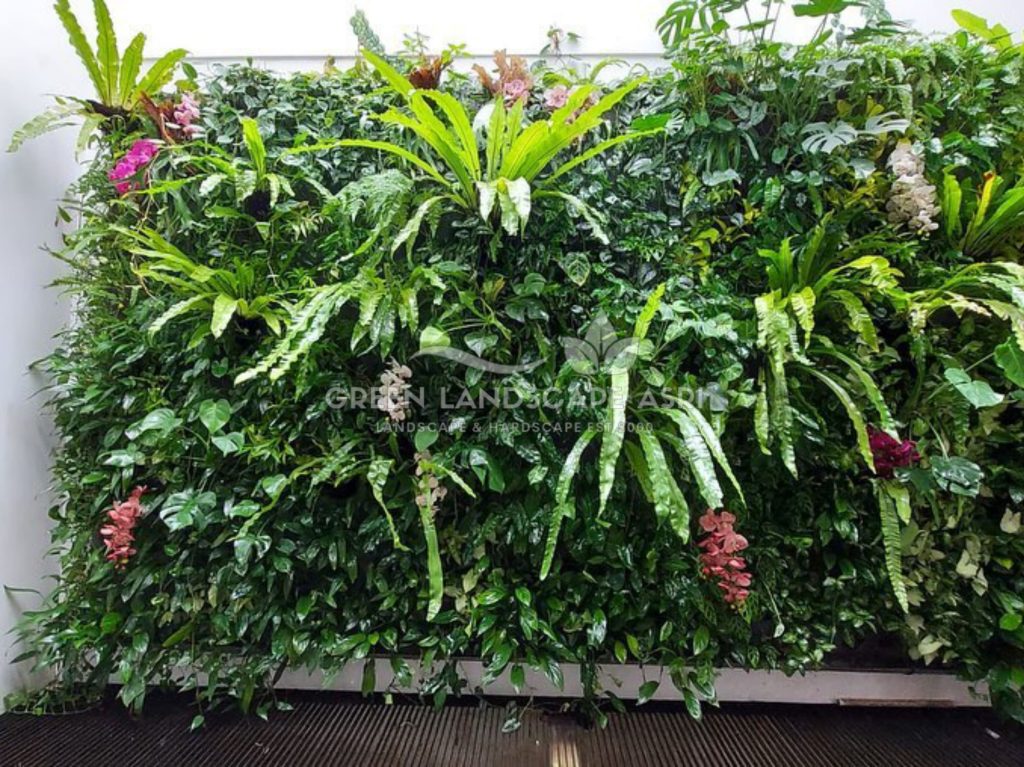 Jasa Vertical Garden Tanaman Asli