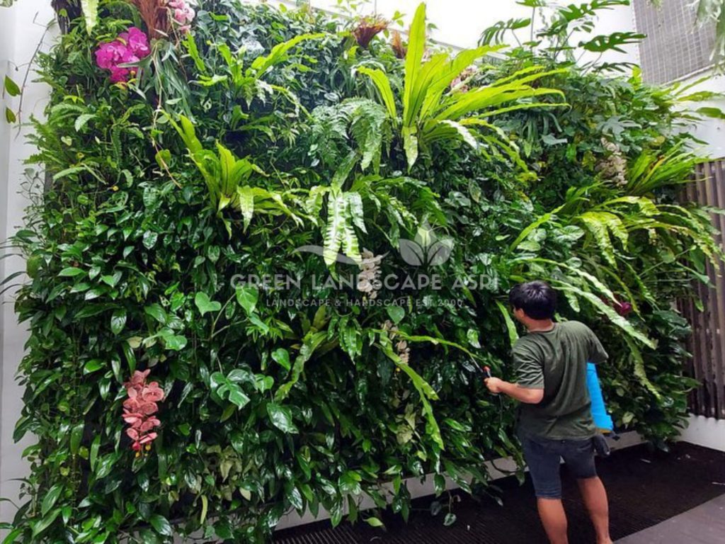 Jasa Vertical Garden Tanaman Asli