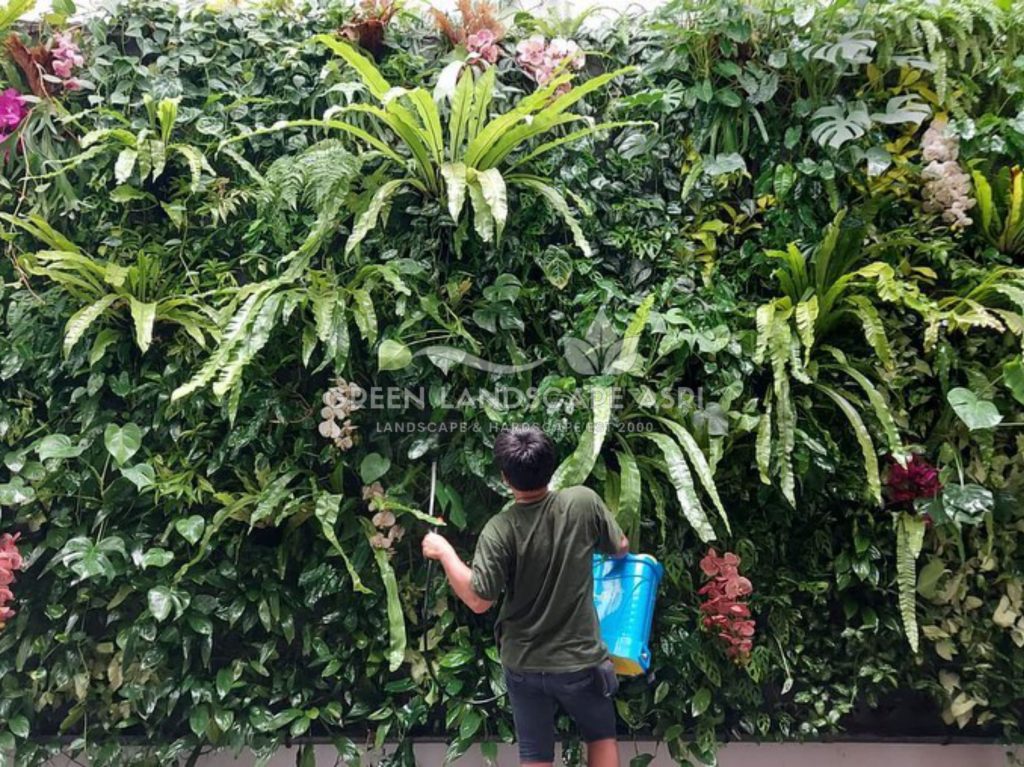 Jasa Vertical Garden Tanaman Asli