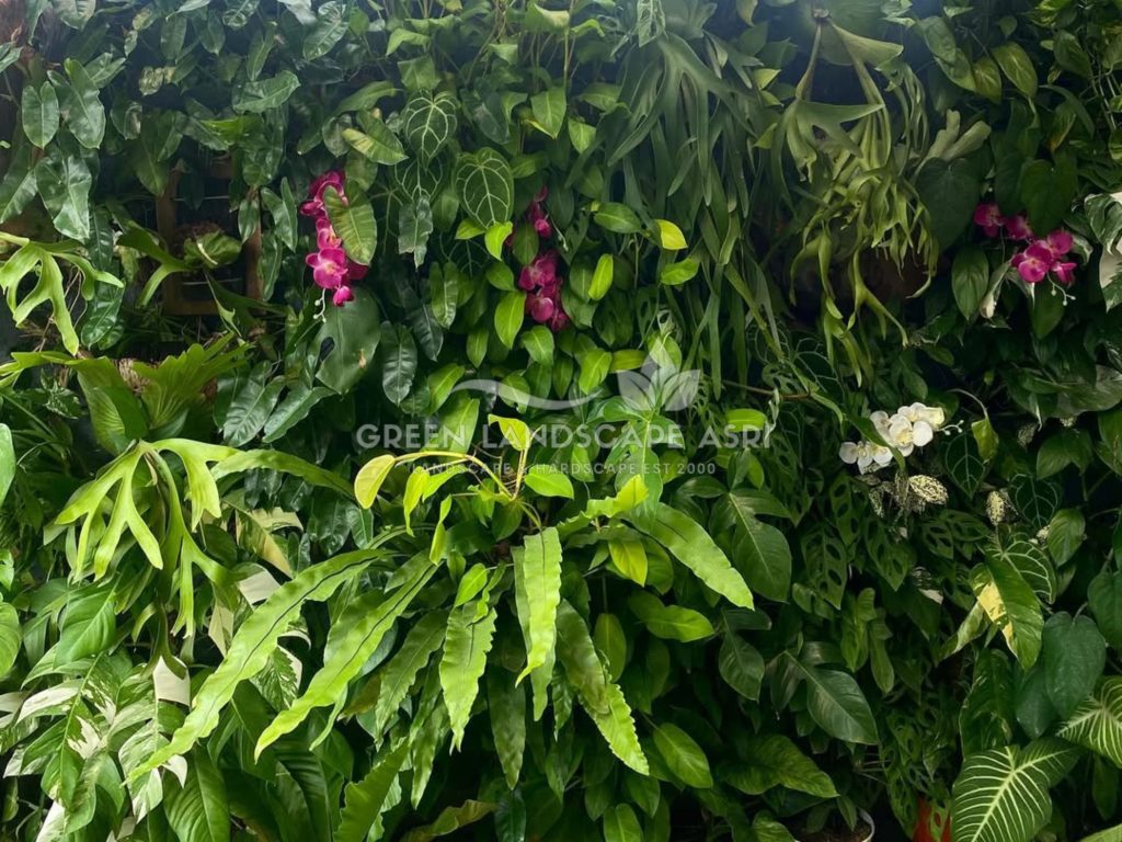 Jasa Vertical Garden Tanaman Asli