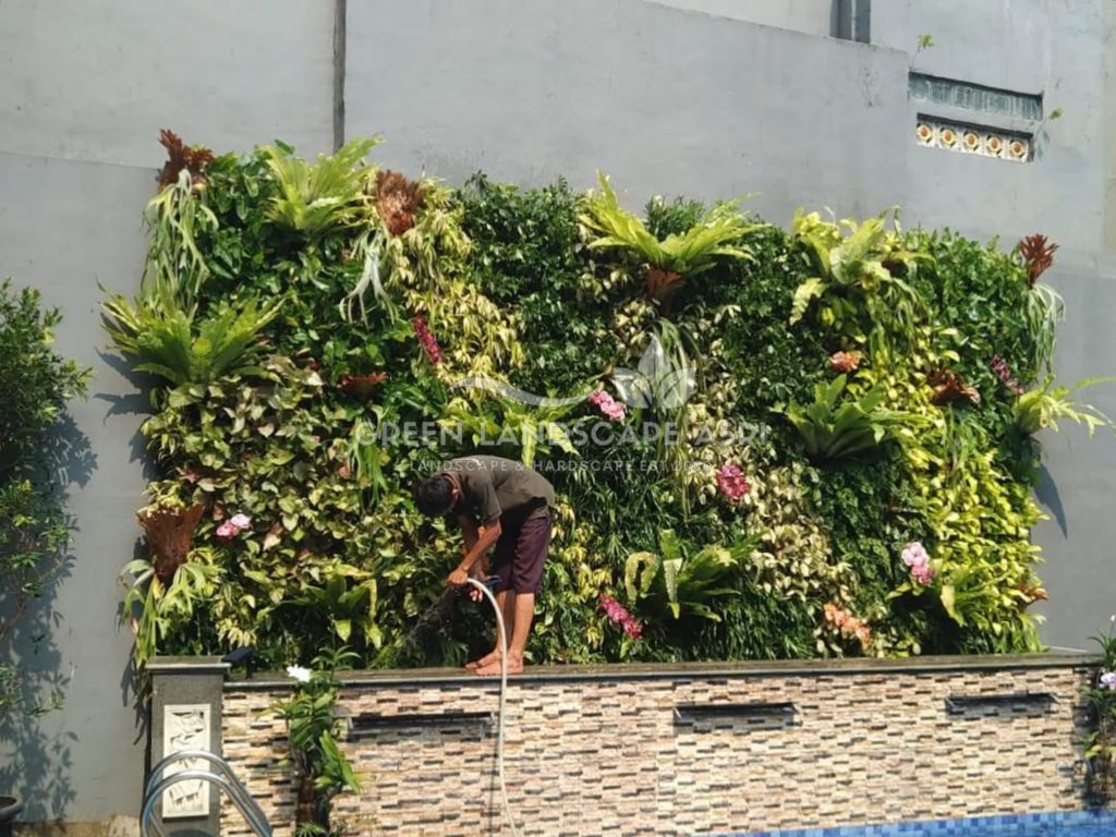 Jasa Vertical Garden Tanaman Asli