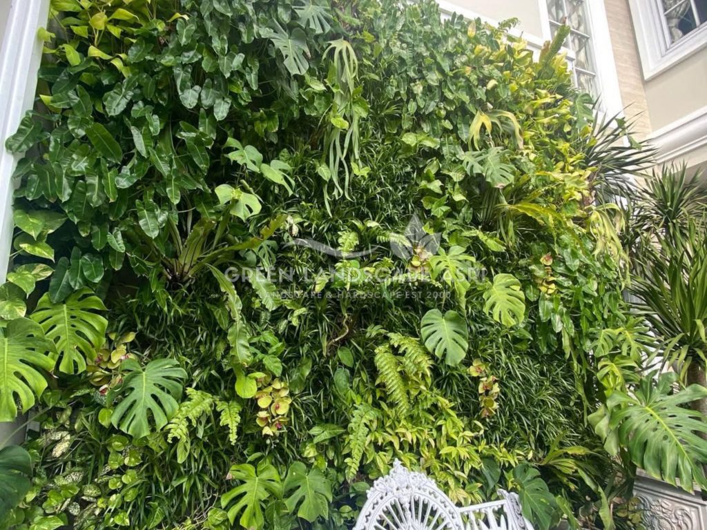 Jasa Vertical Garden Tanaman Asli